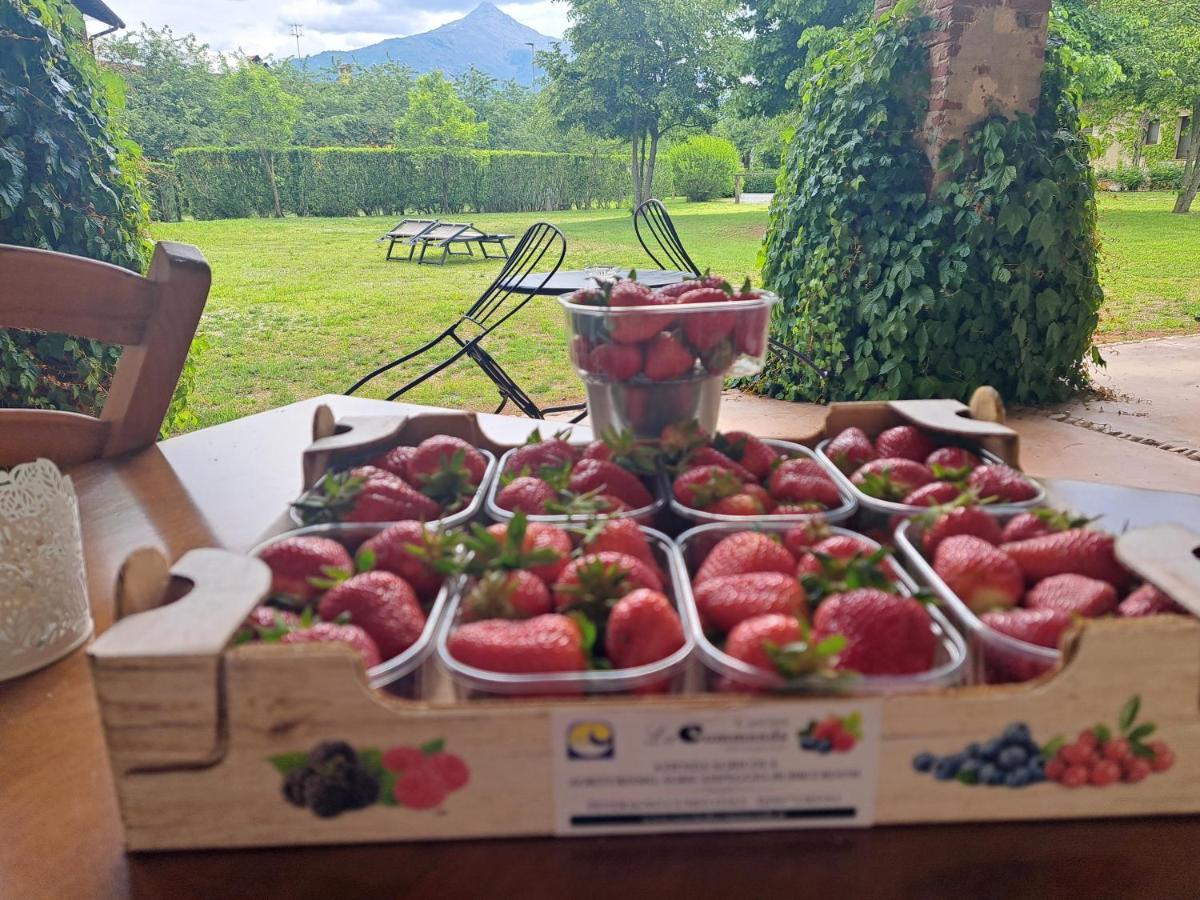 Cascina La Commenda Villa Peveragno Bagian luar foto