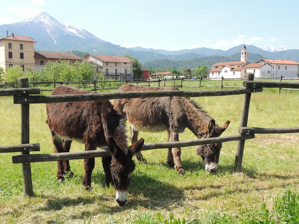 Cascina La Commenda Villa Peveragno Bagian luar foto