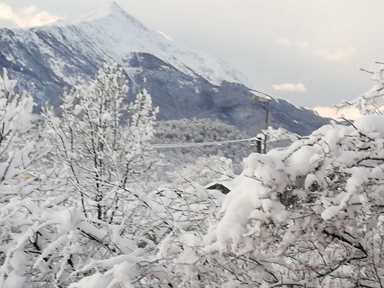 Cascina La Commenda Villa Peveragno Bagian luar foto